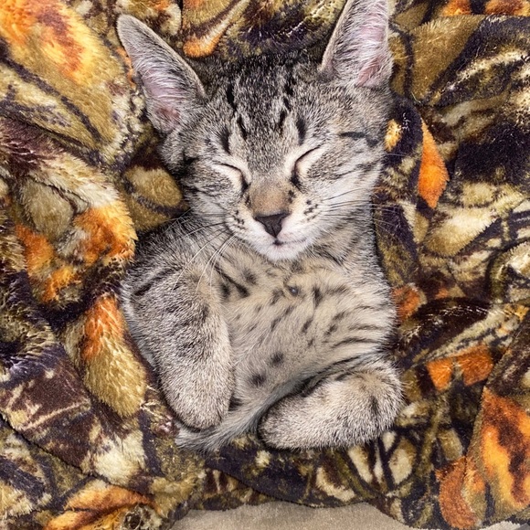 Meet your Posher, Rosemarie - Picture 1 of 1